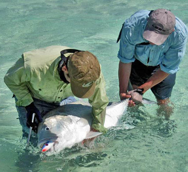 GT beim Watfischen gefangen mit dem Stickbait